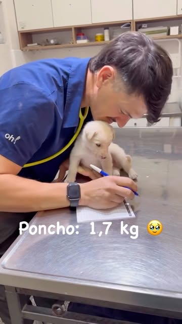 Control de peso de un cachorro