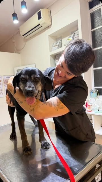 Veterinario abrazando a un perro en la clínica