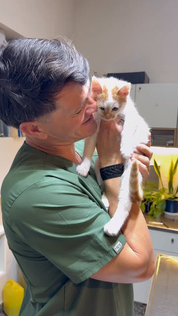 Veterinario con un gato en consulta